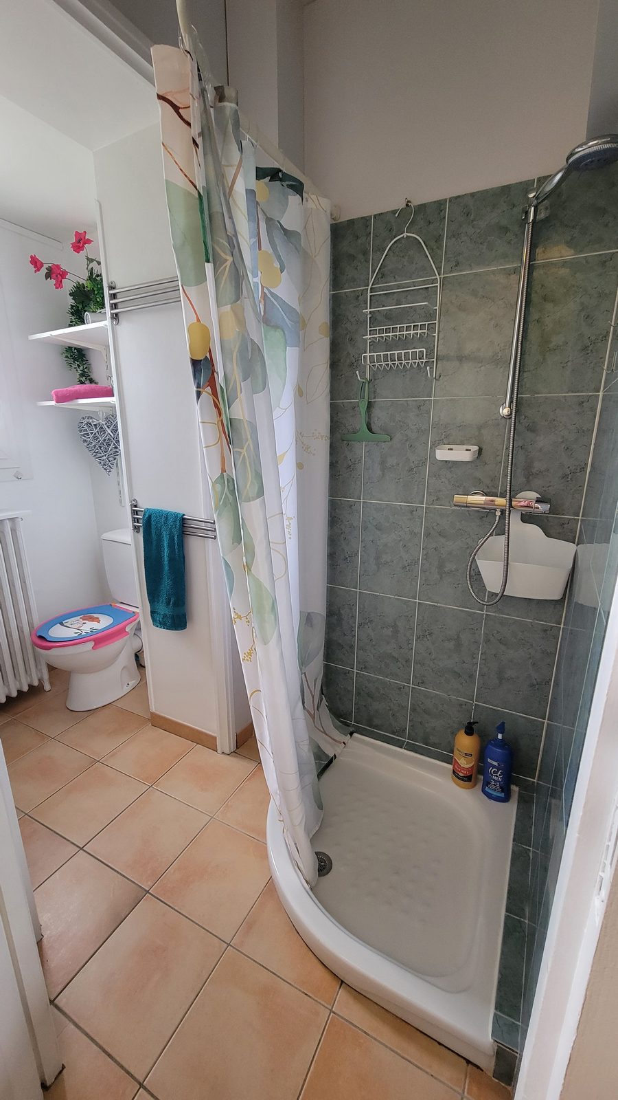 Salle d’eau de l’appartement : douche, lavabo et WC